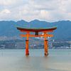 Torii-Tor im Meer in Japan von Mickéle Godderis