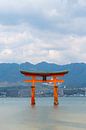 La porte de Torii dans la mer au Japon par Mickéle Godderis Aperçu