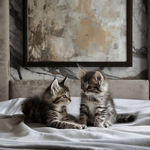 Kitten Magic: A Bed Full of Fluffy Playfulness