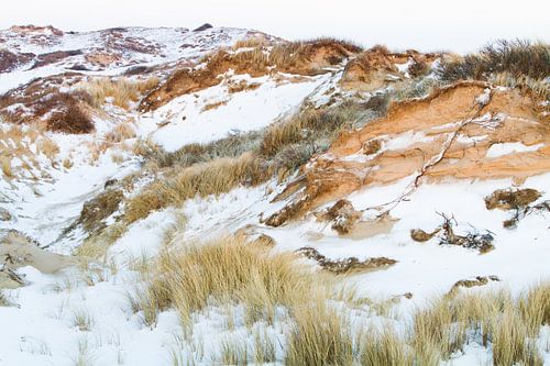 Besneeuwd duinlandschap bij Noordwijk