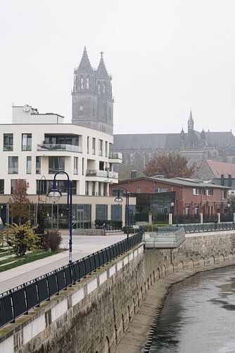 Promenade aan de oever van de Elbe bij Maagdenburg