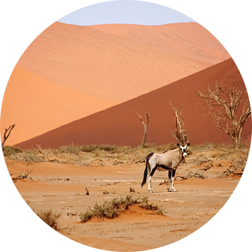 NAMIBIA ... Sossusvlei Oryx II van Meleah Fotografie
