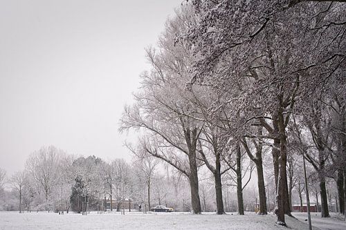 Winterwonder