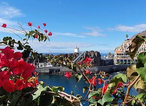 Madeira #31