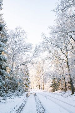 Winter Wonderland - Winter in the Netherlands - Christmas by Wandeldingen