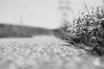 Regarder vers l'avenir