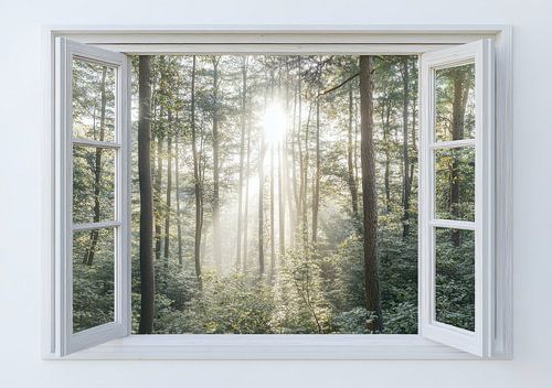 uitzicht op het bos vanuit de woonkamer