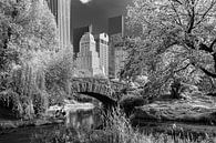 New York Central Park par Kurt Krause Aperçu