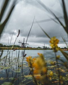Hoornsevaart - Alkmaar bei schlechtem Wetter