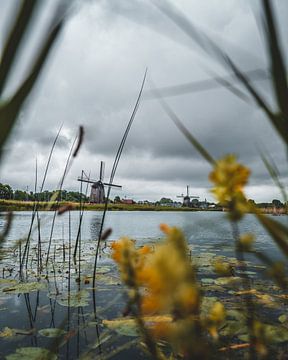 Hoornsevaart - Alkmaar bei schlechtem Wetter von Pim Haring