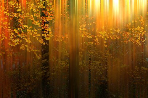 Herbstliche Farben im Liesbos