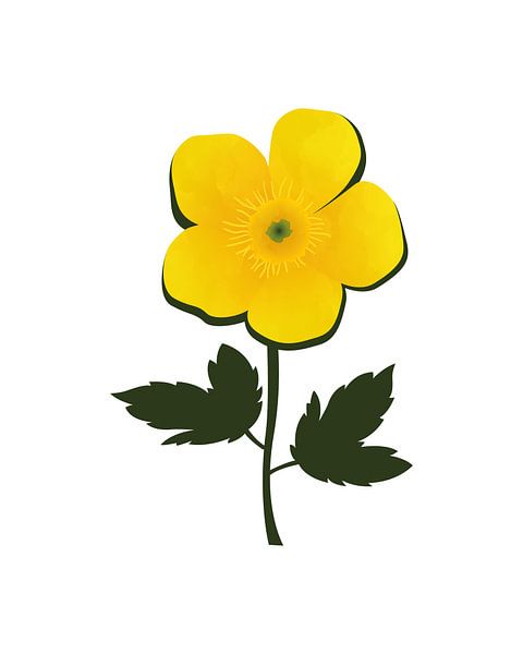 Abstract buttercup by Tanja Udelhofen