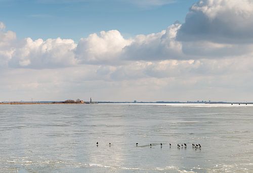 IJselmeer