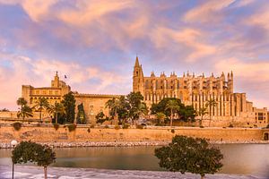 Palacio Real de la Almudaina und Kathedrale La Seu in Palma de Mallorca