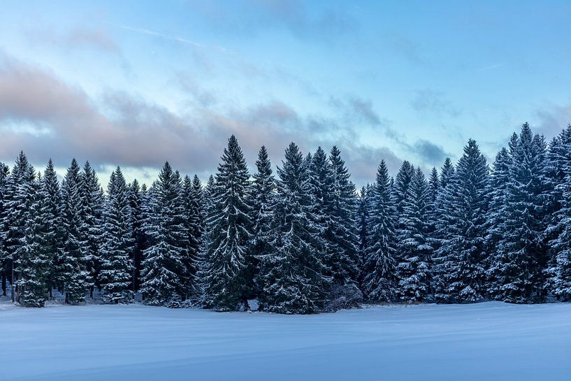 First winter hike on the Rennsteig by Oliver Hlavaty