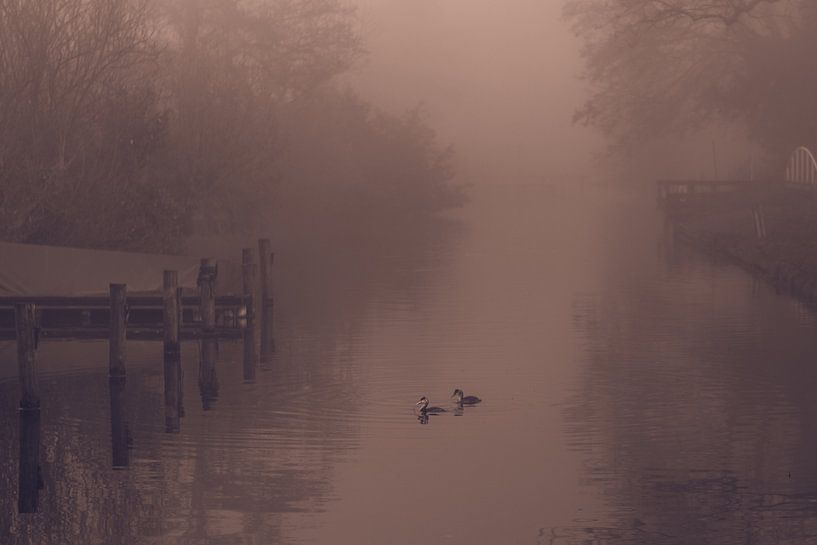 Mist van Hans Hoogers