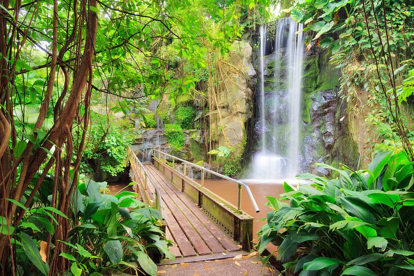 Waterval met brug in de jungle par Dennis van de Water