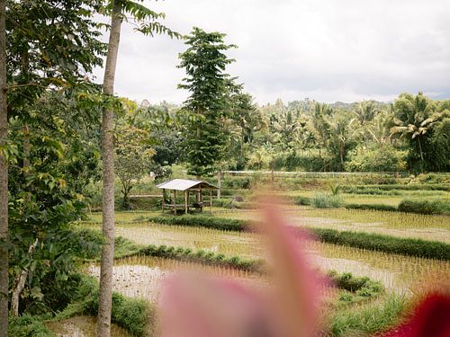 Indonesië
