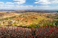 Antananarivo vanaf de koninklijke heuvel Ambohimanga par Dennis van de Water Aperçu