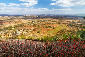 Antananarivo vanaf de koninklijke heuvel Ambohimanga sur Dennis van de Water