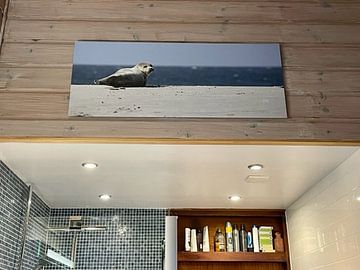 Kundenfoto: Seehund am Strand von Düne von Antwan Janssen