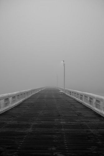 The old palisade in Ostend ( photo2/7 )