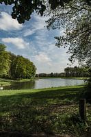 Vennetje in het bos