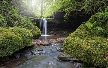 Bitburg, Eifel, Rijnland-Palts, Duitsland van Alexander Ludwig