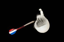 Treffer! von Heidi Bol