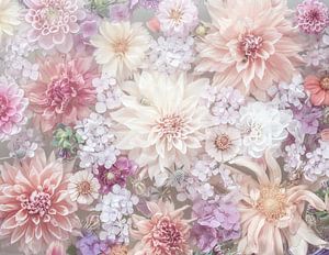 Dahlias au pastel sur Marina de Wit