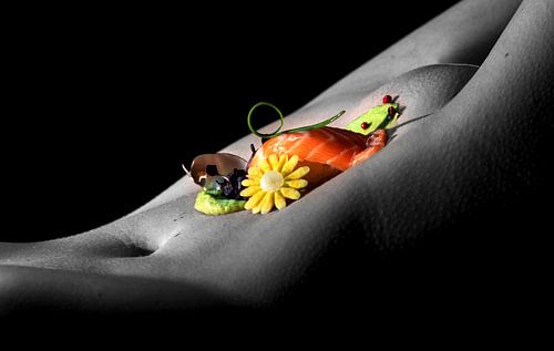 Sushi Ontwerp hoogtepunt