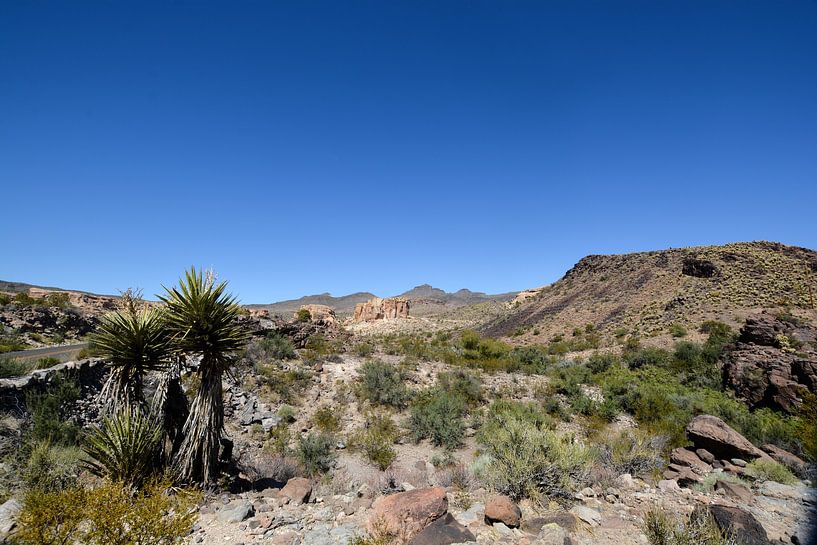 Sitgreaves Pass, Route 66, Arizona von GH Foto & Artdesign