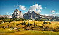 Alpe di Siusi and Sassolungo mountain. Dolomites