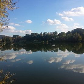Reflectie op het meer van Andrea Meister