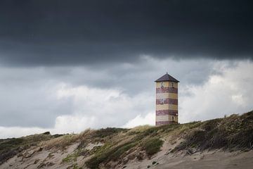 Kaapduinen Laag in Dishoek op een grijze dag van Thom Brouwer