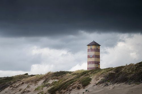Kaapduinen Low in Dishoek an einem grauen Tag von Thom Brouwer