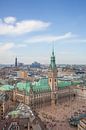 Hamburger Rathaus, Hamburg, Deutschland von Torsten Krüger Miniaturansicht