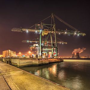 Containerterminal kraan met elektriciteitscentrale op achtergrond, Antwerpen 2 van Tony Vingerhoets