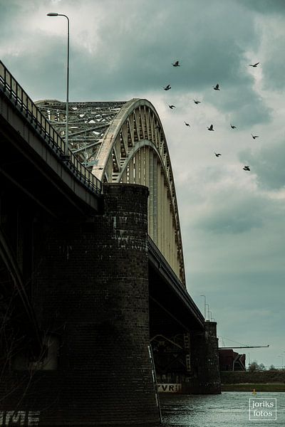 Waalbrug in a nutshell by Jorik Rap