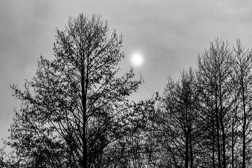 Bomen, wolken en zon van Huub de Bresser