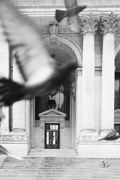 Colombes volantes devant la bibliothèque publique de New York sur Alexandra Vonk