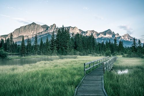 Les montagnes de Canmore au lever du soleil