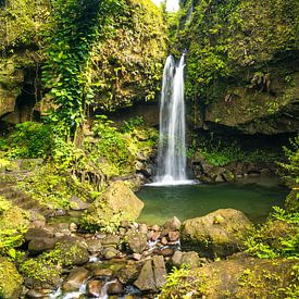 Waterval in Morne Trois Pitons National Park, Dominica van Peter Schickert