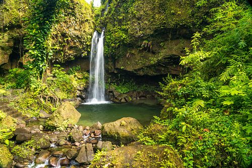 Waterval in Morne Trois Pitons National Park, Dominica