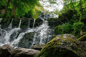Kleiner Wasserfall im Wald mit Moos auf Steinen