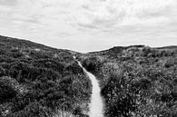 Path to the end of the world. by Rebecca Gruppen thumbnail