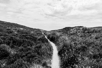 Path to the end of the world. by Rebecca Gruppen