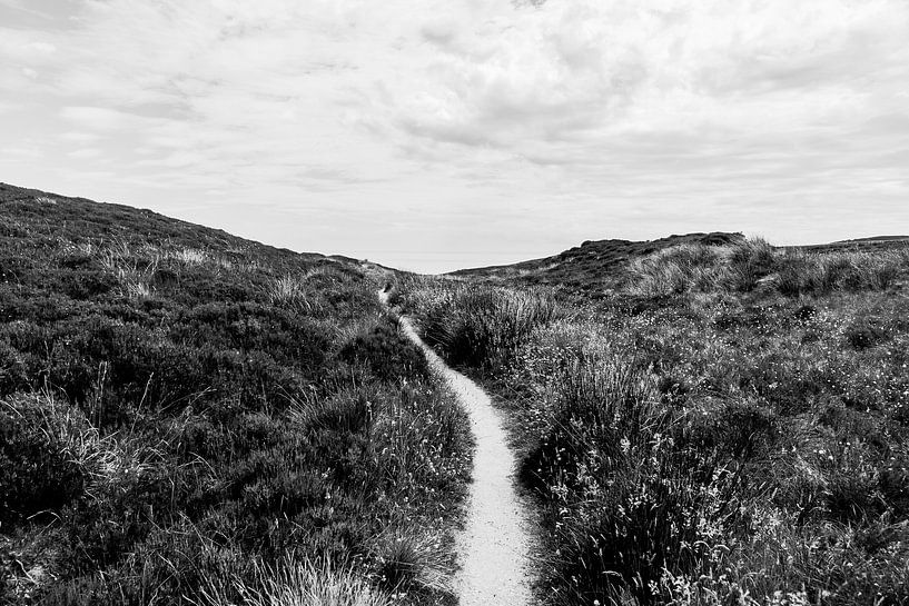 Le chemin vers la fin du monde. par Rebecca Gruppen