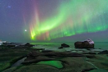 Nordlichter tanzen über der Küste der Lofoten