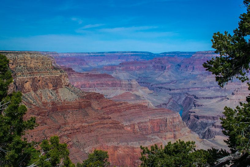 Farbe Pracht des Grand Canyon von Rietje Bulthuis